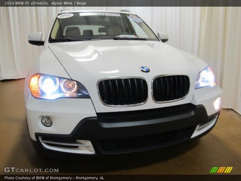 Alpine White / Beige 2009 BMW X5 xDrive30i