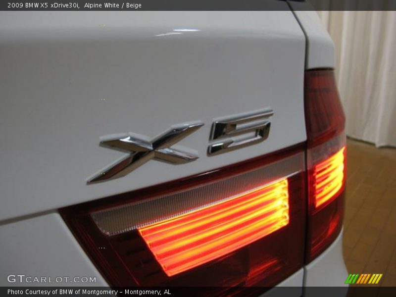 Alpine White / Beige 2009 BMW X5 xDrive30i