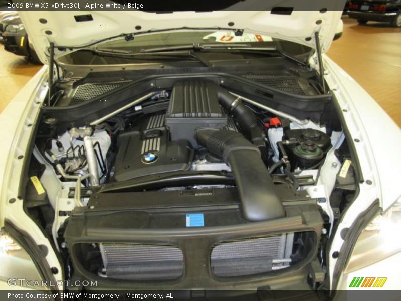 Alpine White / Beige 2009 BMW X5 xDrive30i