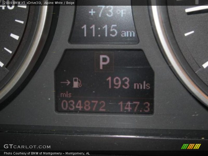 Alpine White / Beige 2009 BMW X5 xDrive30i