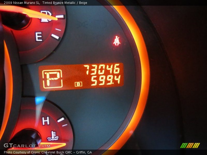 Tinted Bronze Metallic / Beige 2009 Nissan Murano SL