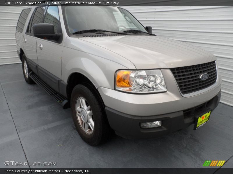 Silver Birch Metallic / Medium Flint Grey 2005 Ford Expedition XLT