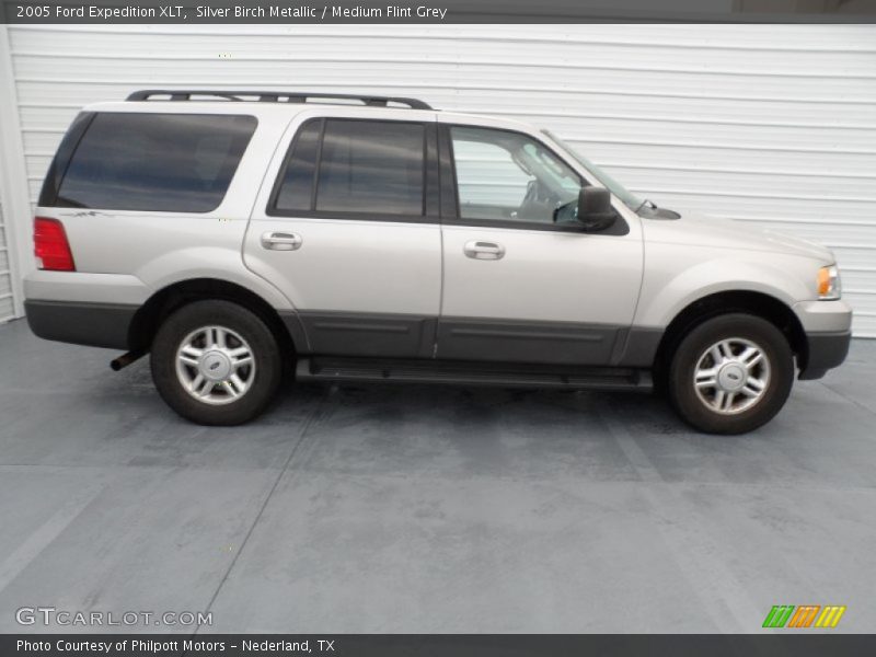 Silver Birch Metallic / Medium Flint Grey 2005 Ford Expedition XLT
