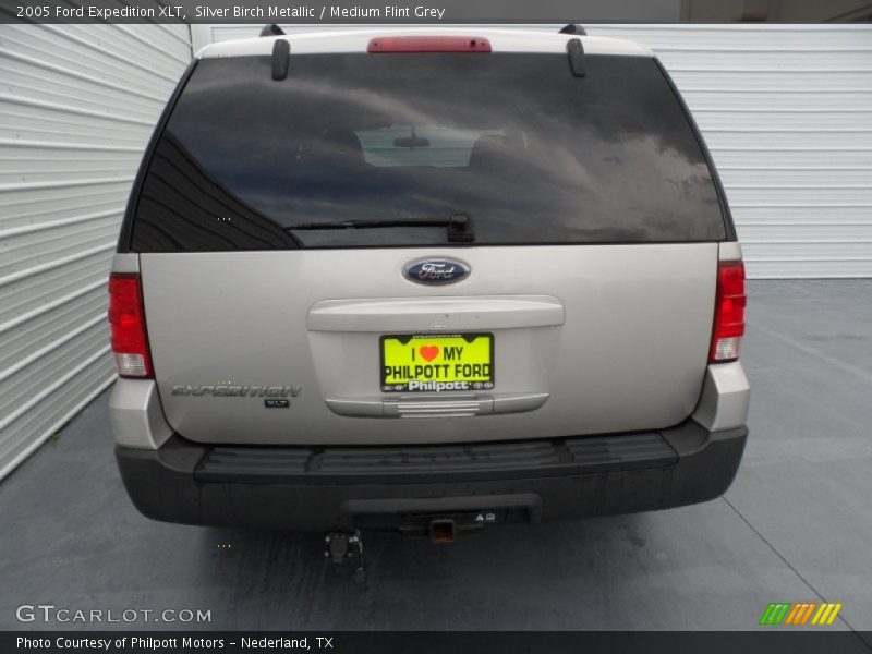 Silver Birch Metallic / Medium Flint Grey 2005 Ford Expedition XLT