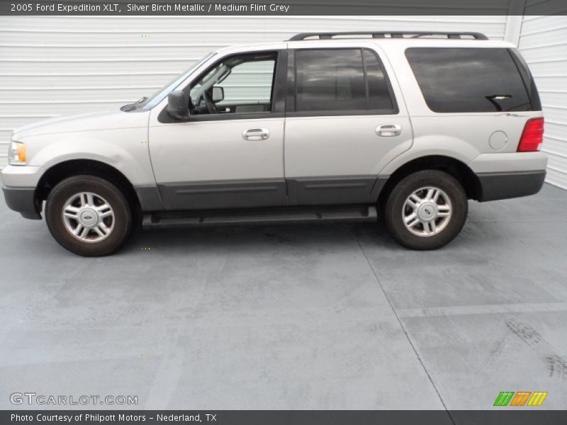Silver Birch Metallic / Medium Flint Grey 2005 Ford Expedition XLT