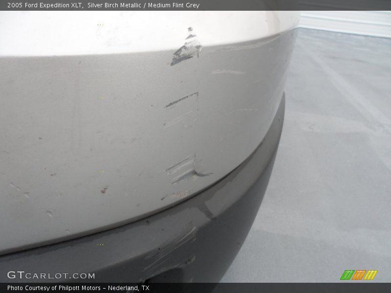 Silver Birch Metallic / Medium Flint Grey 2005 Ford Expedition XLT