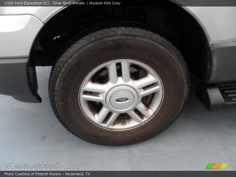 Silver Birch Metallic / Medium Flint Grey 2005 Ford Expedition XLT