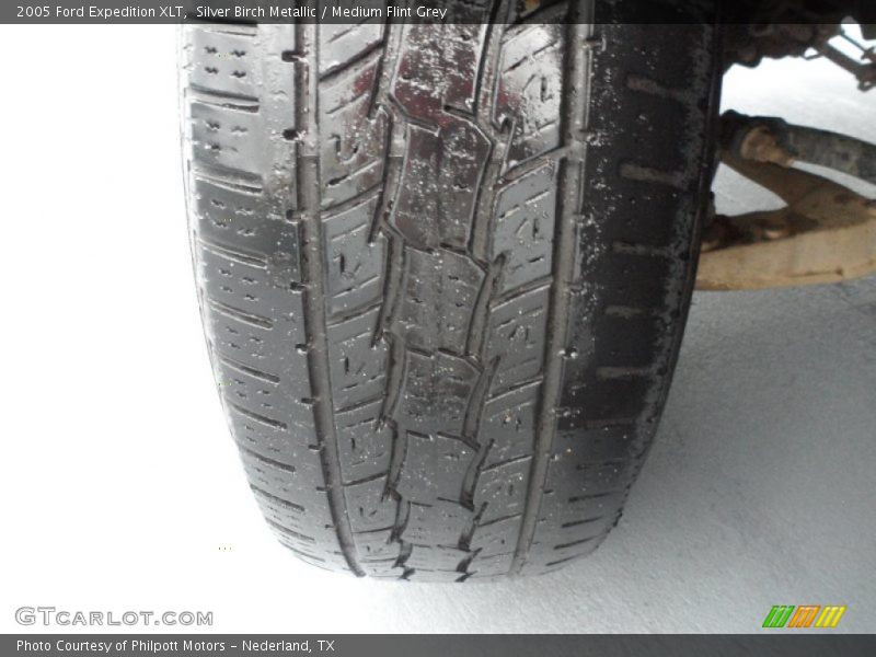 Silver Birch Metallic / Medium Flint Grey 2005 Ford Expedition XLT