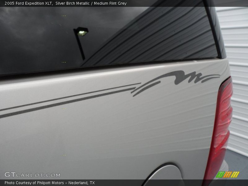 Silver Birch Metallic / Medium Flint Grey 2005 Ford Expedition XLT