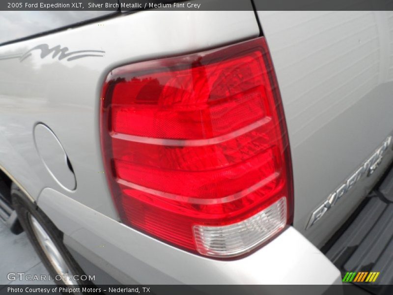 Silver Birch Metallic / Medium Flint Grey 2005 Ford Expedition XLT