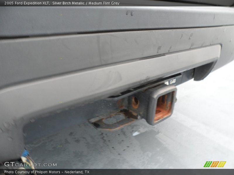 Silver Birch Metallic / Medium Flint Grey 2005 Ford Expedition XLT