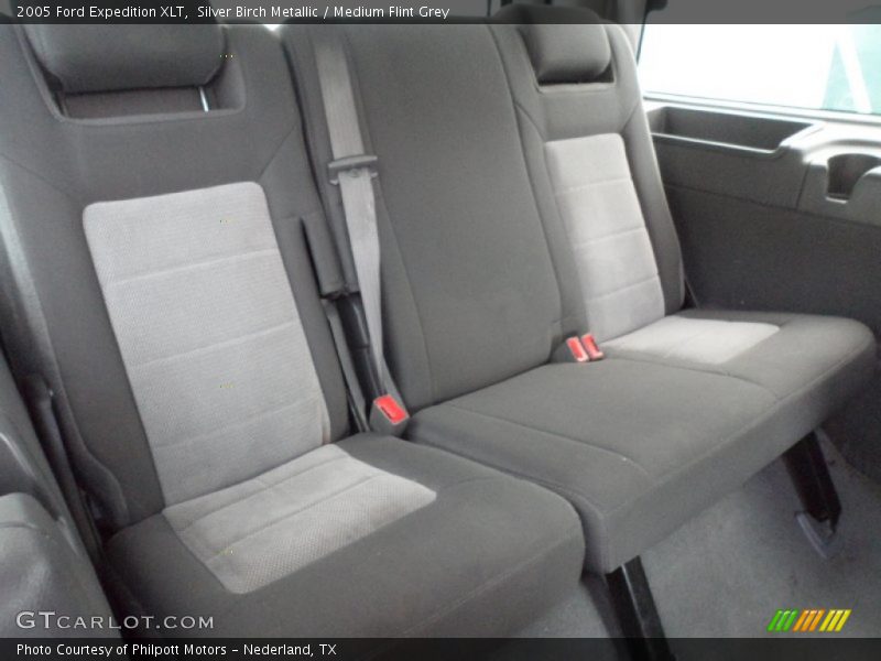 Silver Birch Metallic / Medium Flint Grey 2005 Ford Expedition XLT