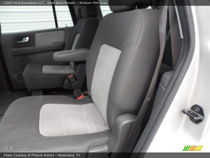Silver Birch Metallic / Medium Flint Grey 2005 Ford Expedition XLT