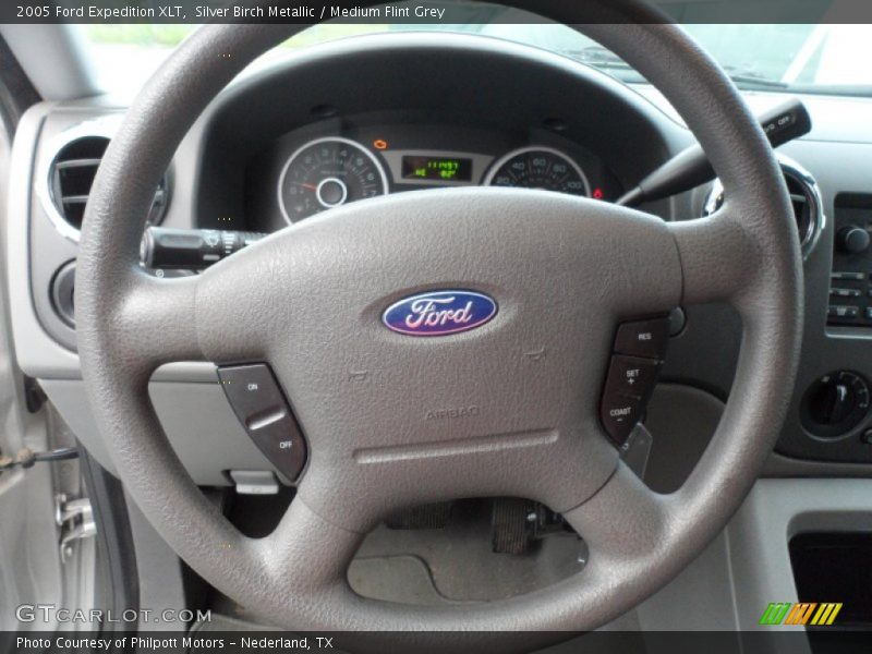 Silver Birch Metallic / Medium Flint Grey 2005 Ford Expedition XLT