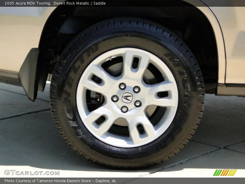 Desert Rock Metallic / Saddle 2005 Acura MDX Touring
