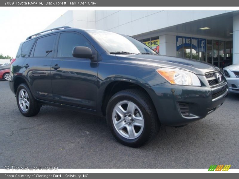 Black Forest Pearl / Ash Gray 2009 Toyota RAV4 I4