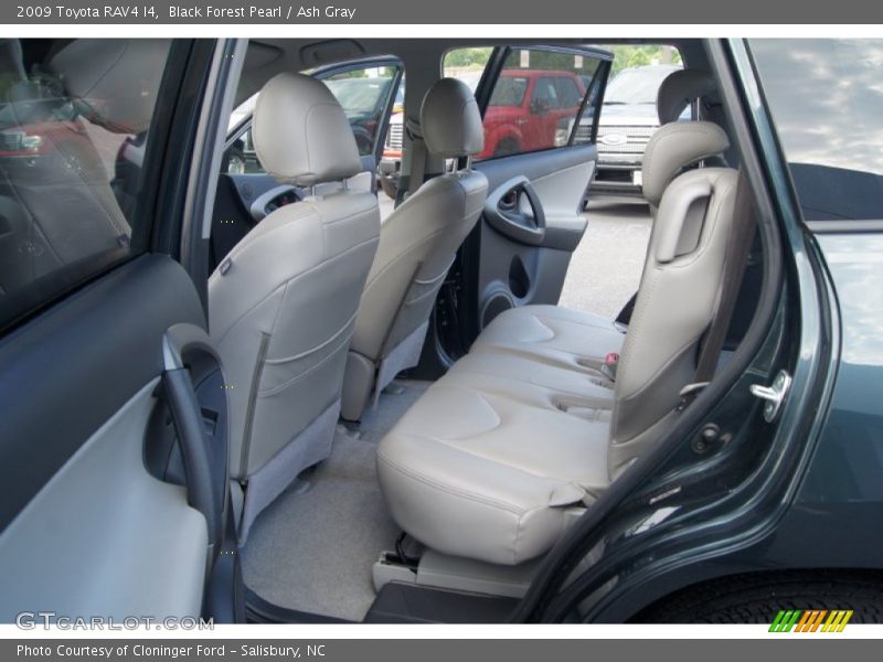Black Forest Pearl / Ash Gray 2009 Toyota RAV4 I4