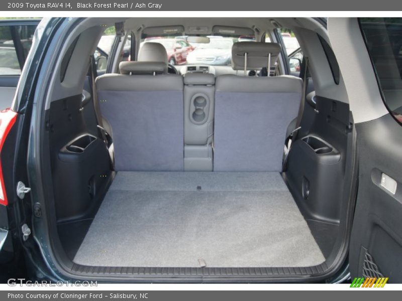 Black Forest Pearl / Ash Gray 2009 Toyota RAV4 I4