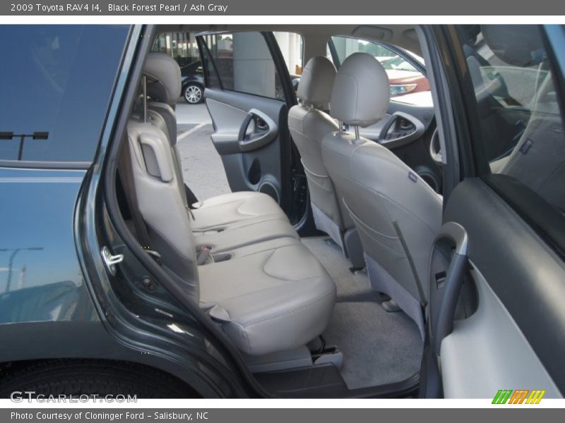 Black Forest Pearl / Ash Gray 2009 Toyota RAV4 I4