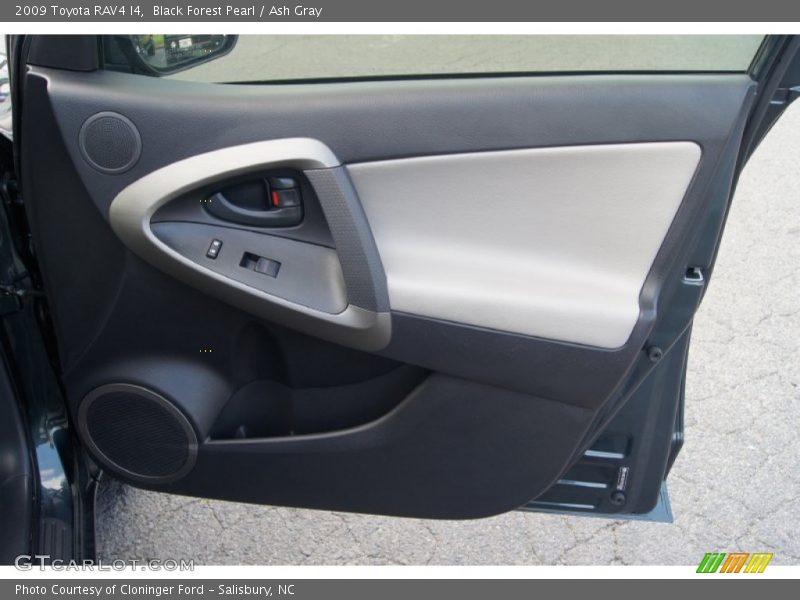 Black Forest Pearl / Ash Gray 2009 Toyota RAV4 I4