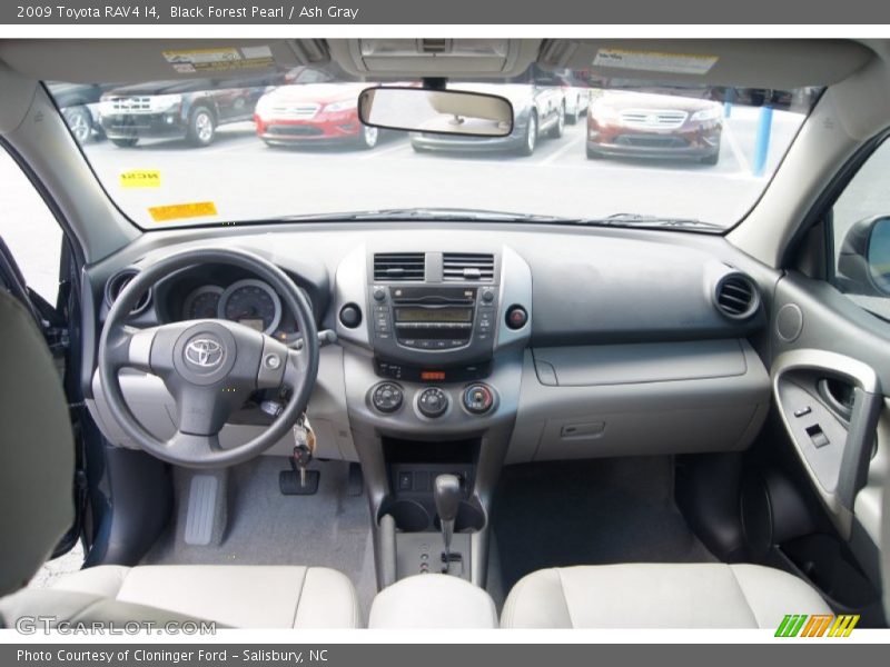 Black Forest Pearl / Ash Gray 2009 Toyota RAV4 I4