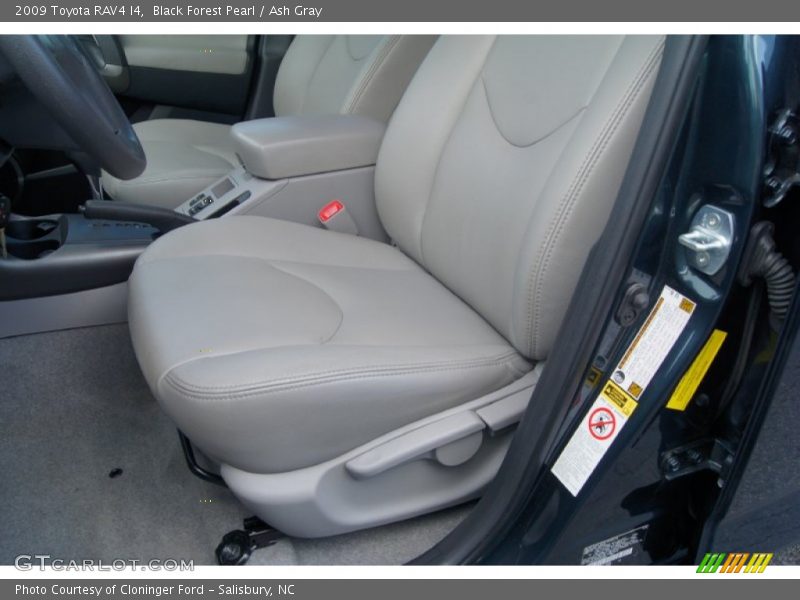 Black Forest Pearl / Ash Gray 2009 Toyota RAV4 I4