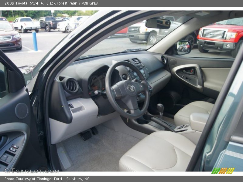 Black Forest Pearl / Ash Gray 2009 Toyota RAV4 I4