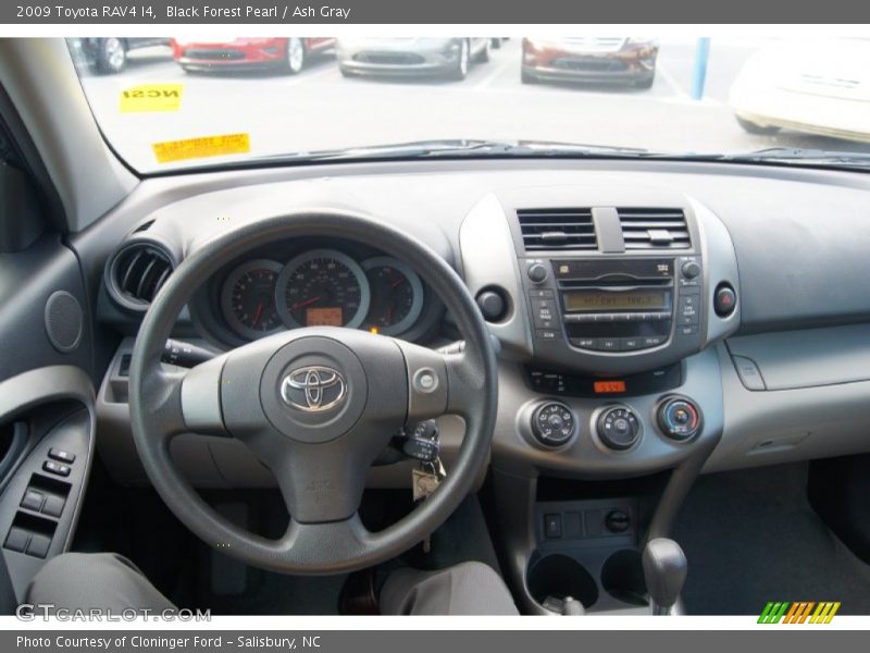 Black Forest Pearl / Ash Gray 2009 Toyota RAV4 I4