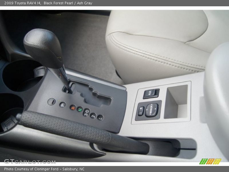 Black Forest Pearl / Ash Gray 2009 Toyota RAV4 I4