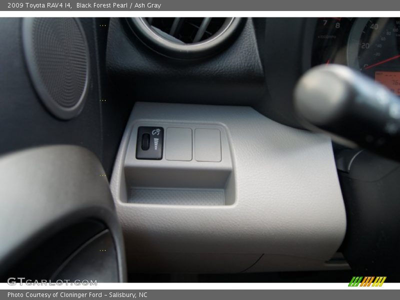 Black Forest Pearl / Ash Gray 2009 Toyota RAV4 I4