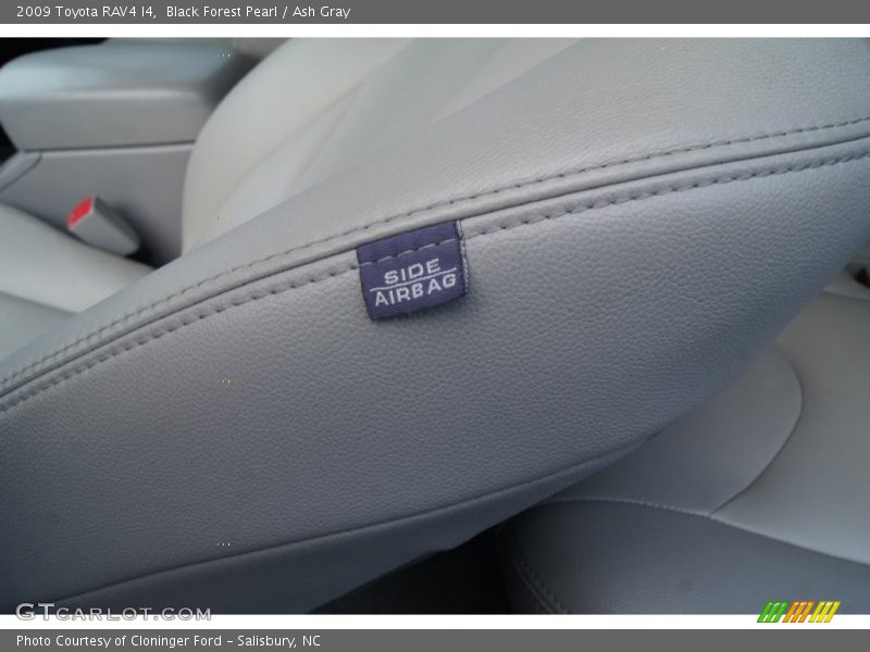 Black Forest Pearl / Ash Gray 2009 Toyota RAV4 I4