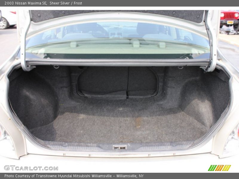 Sheer Silver / Frost 2003 Nissan Maxima SE