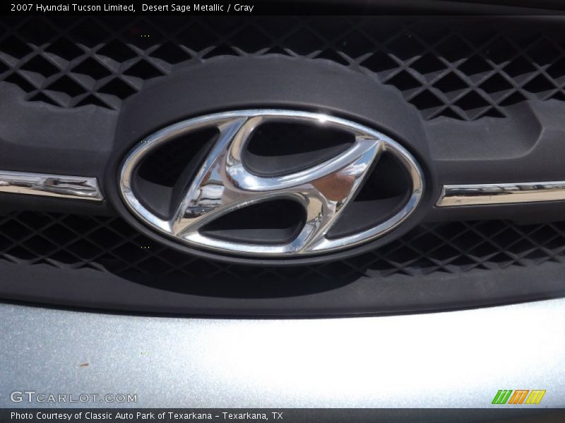 Desert Sage Metallic / Gray 2007 Hyundai Tucson Limited