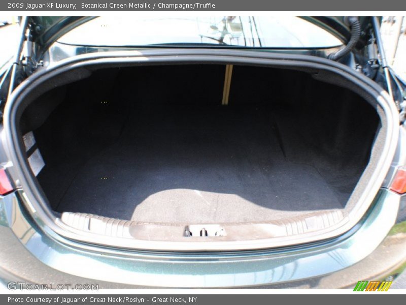 Botanical Green Metallic / Champagne/Truffle 2009 Jaguar XF Luxury