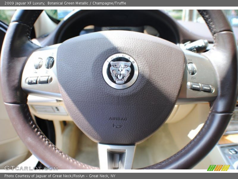 Botanical Green Metallic / Champagne/Truffle 2009 Jaguar XF Luxury