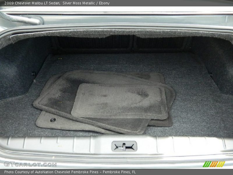 Silver Moss Metallic / Ebony 2009 Chevrolet Malibu LT Sedan