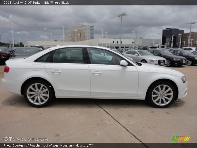  2013 A4 2.0T Sedan Ibis White