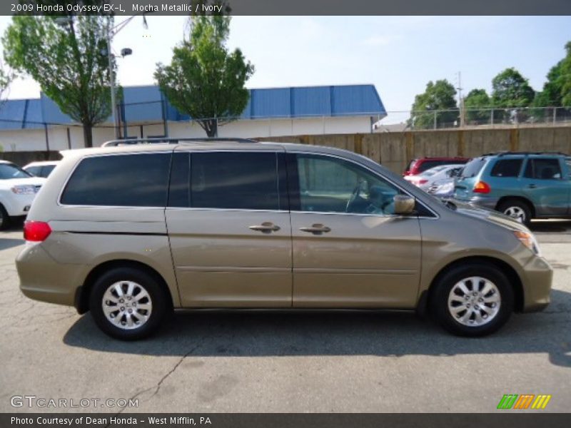 Mocha Metallic / Ivory 2009 Honda Odyssey EX-L