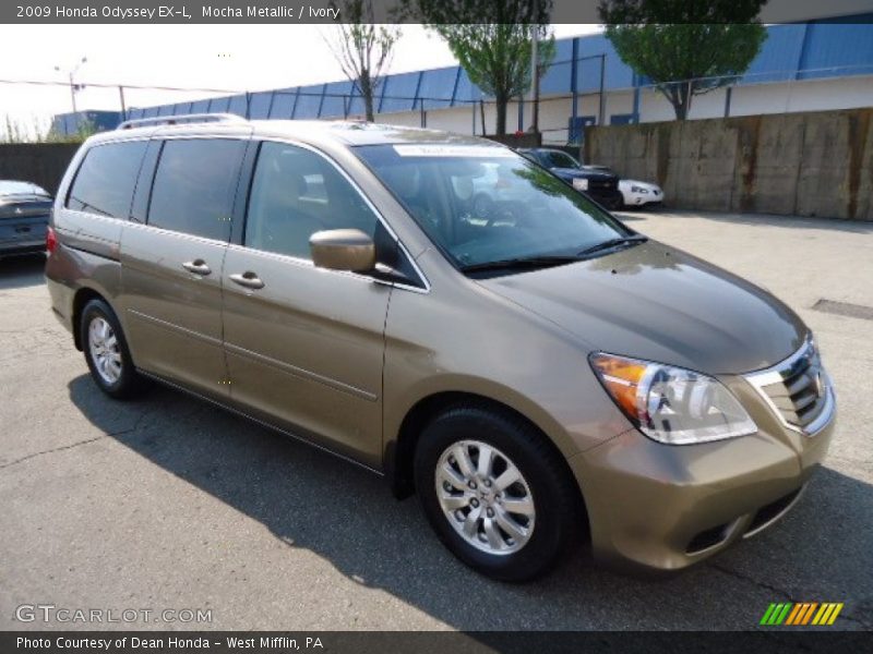 Mocha Metallic / Ivory 2009 Honda Odyssey EX-L