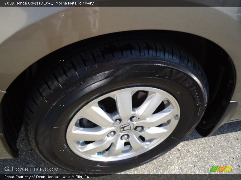 Mocha Metallic / Ivory 2009 Honda Odyssey EX-L