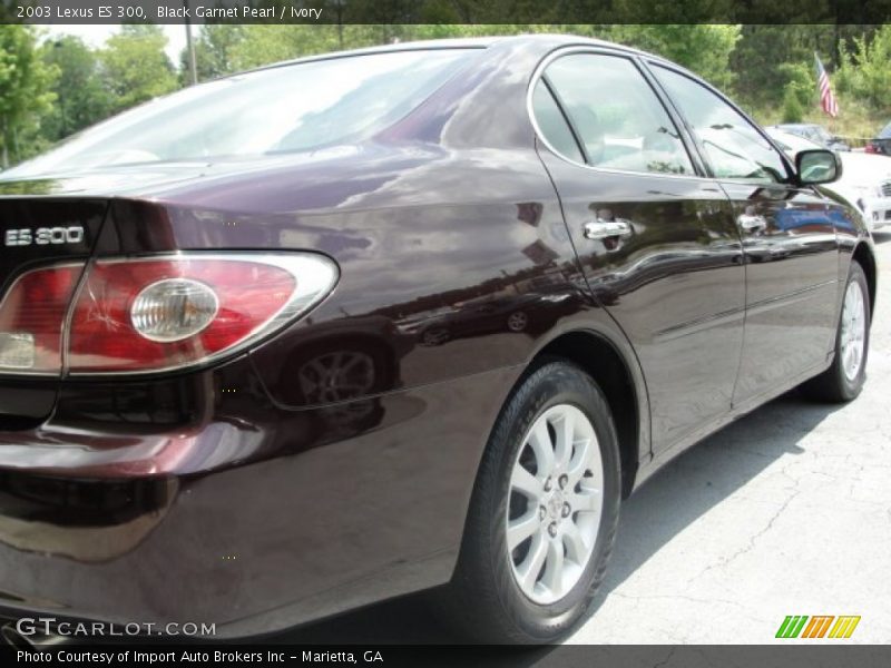 Black Garnet Pearl / Ivory 2003 Lexus ES 300