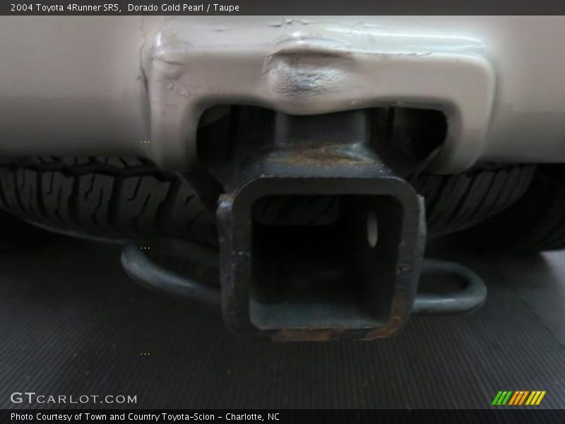 Dorado Gold Pearl / Taupe 2004 Toyota 4Runner SR5
