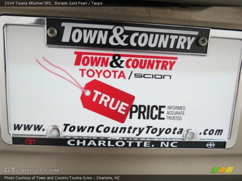 Dorado Gold Pearl / Taupe 2004 Toyota 4Runner SR5