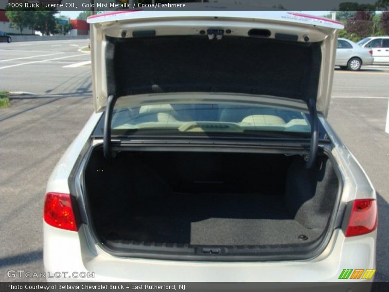 Gold Mist Metallic / Cocoa/Cashmere 2009 Buick Lucerne CXL