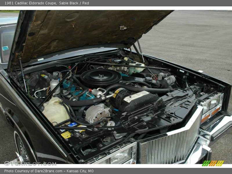 Sable Black / Red 1981 Cadillac Eldorado Coupe