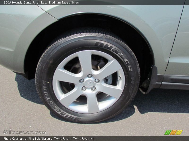 Platinum Sage / Beige 2009 Hyundai Santa Fe Limited