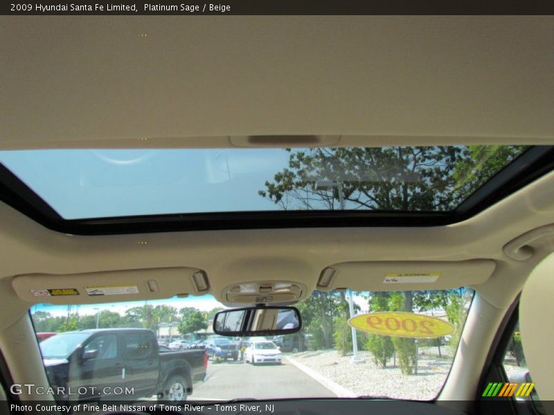 Platinum Sage / Beige 2009 Hyundai Santa Fe Limited