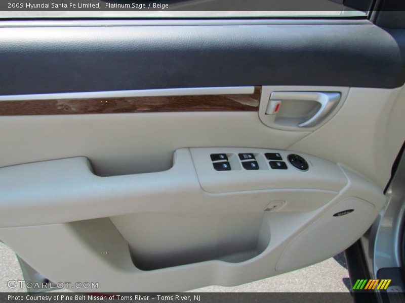 Platinum Sage / Beige 2009 Hyundai Santa Fe Limited