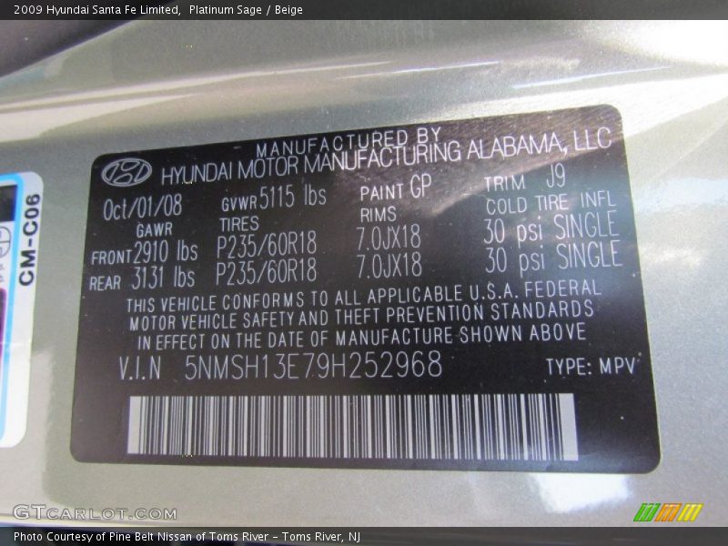 Platinum Sage / Beige 2009 Hyundai Santa Fe Limited