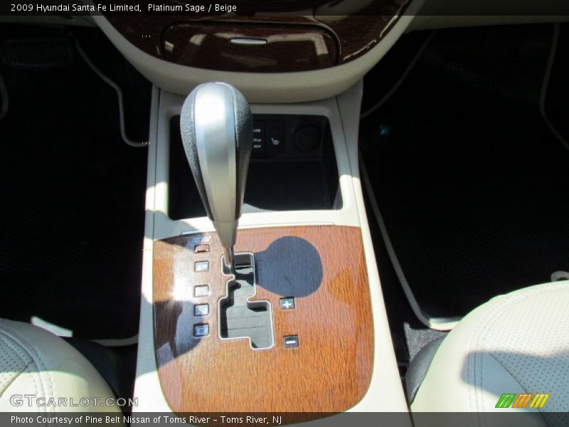 Platinum Sage / Beige 2009 Hyundai Santa Fe Limited